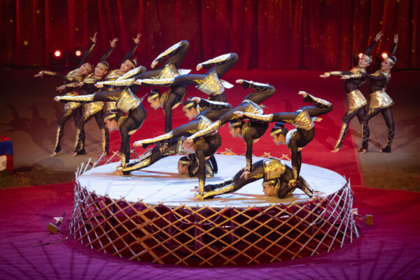 Angels of Mongolian Contortion (Lodoi&nbsp;Troupe)