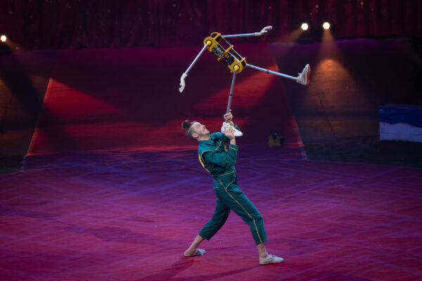 Robot'Art - Daniel Simu